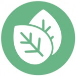 leaf-icon