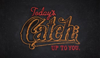 Today's catch