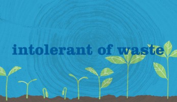 Intolerant of waste seedlings