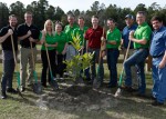 Tree Planting