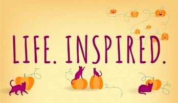 Life. Inspired. Fall image