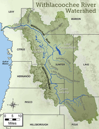 Withlacoochee River Watershed