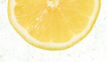 Half a slice of a large lemon on a white green speckled background