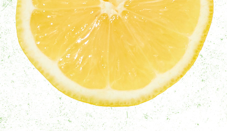 Half a slice of a large lemon on a white green speckled background