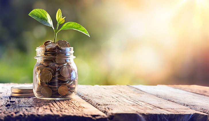 Glass jar filled to the top with coins and a small leaf coming out of the middles sitting on a wood table.