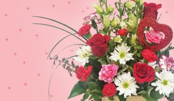 Roses and varied flowers on a pink background.