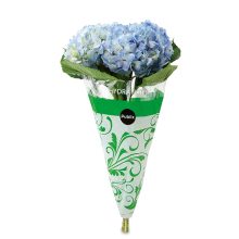 bouquet of hydrangeas